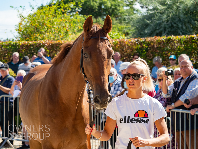 Paul Nicholls Visit - 21 August 2022